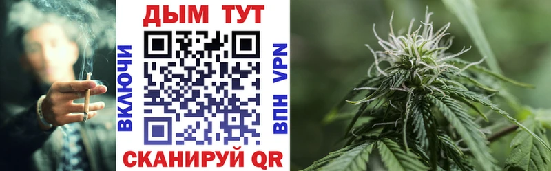 Наркошоп купить АМФ  Галлюциногенные грибы  Alpha-PVP  ГАШ  Кокаин  Каннабис  Меф  Моздок