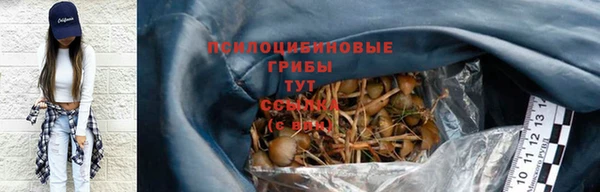 стафф Гусев