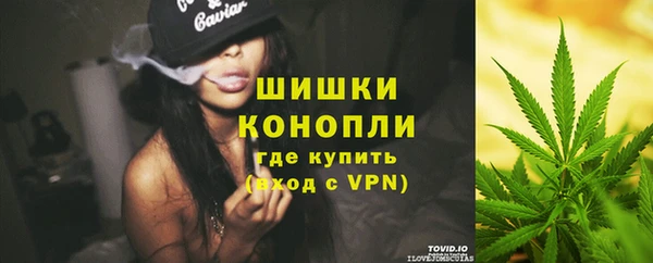 стафф Гусев