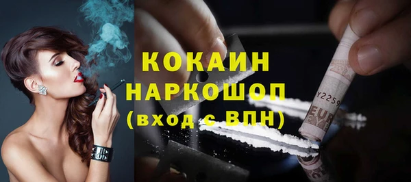 стафф Гусев