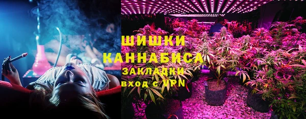 стафф Гусев