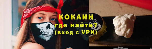 стафф Гусев