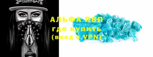 стафф Гусев