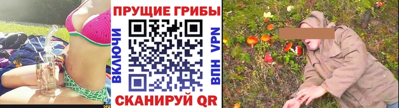 Псилоцибиновые грибы Magic Shrooms  Купить закладки  Моздок 